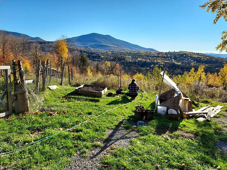 Camp Rd — Photo 2