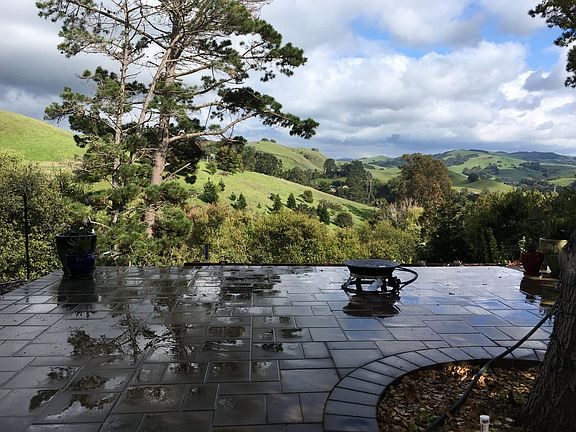 patio before tree fell down