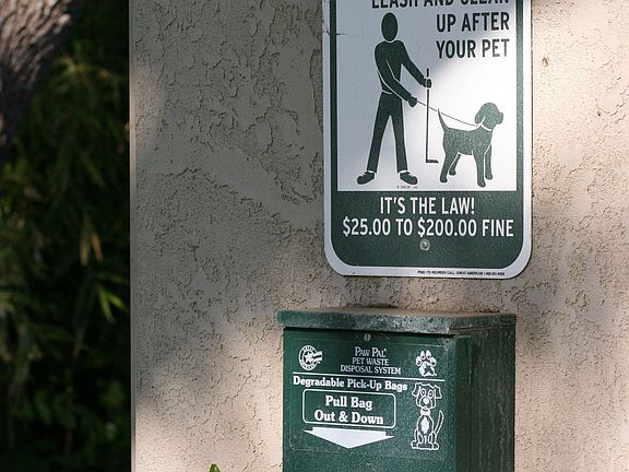 Dog Friendly!