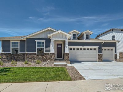 1846 Crisp Air Dr, Windsor, CO, 80550