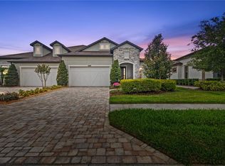 4195 Barletta Ct, Wesley Chapel, FL 33543