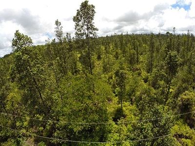 Road 3 Hopue Lot 3037, Mountain View, HI, 96771