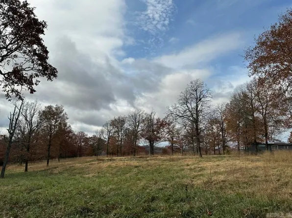 287 Sunnyland Rd, Mountain View, AR 72560
