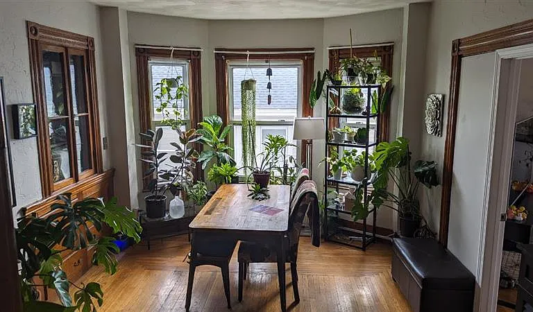 51 Mansfield St #2 — Photo 1