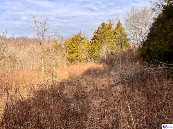 0 Hood Rd, Summer Shade, KY 42166