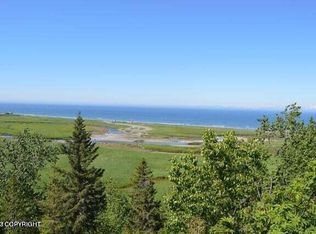 34101 Hms Resolution Rd, Anchor Point, AK 99556