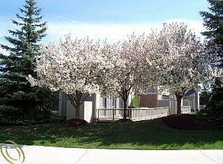 2nd image of 686 Brockmoor Ln #1