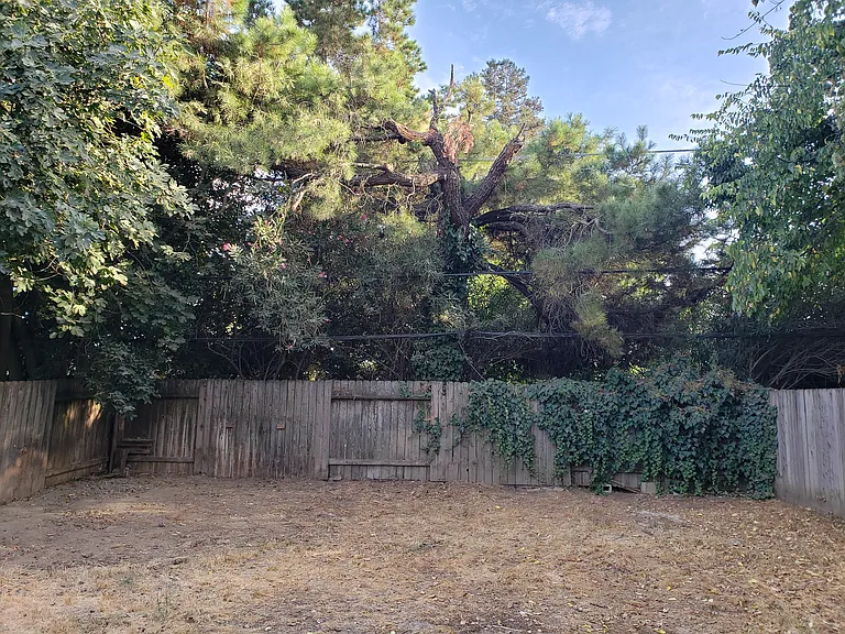 4914 Cowell Blvd — Photo 10