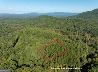 1 Turniptown Rd, Ellijay, GA 30536