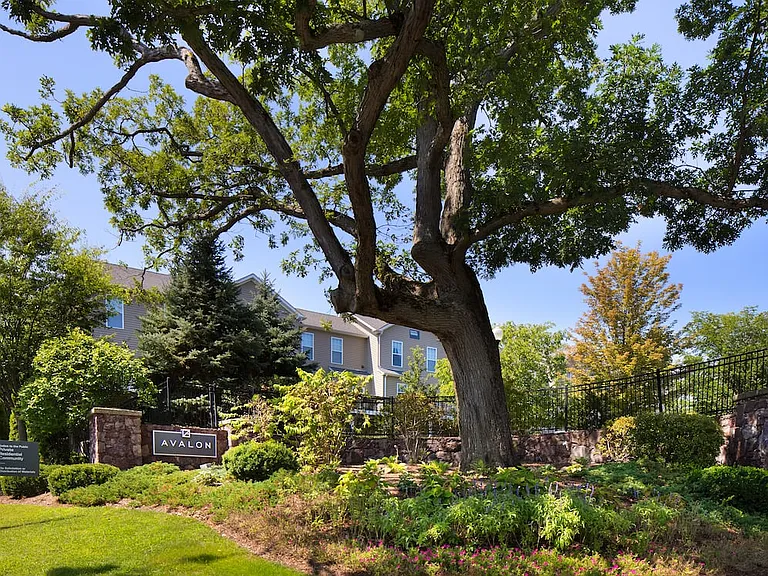 Landscaped greenspace