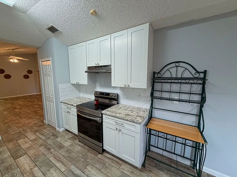 4271 Hanging Moss Dr — Photo 8