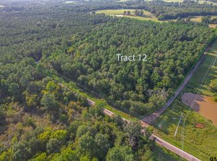 TRACT 12 County Road 4224, Frankston, TX 75763