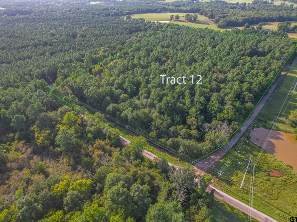 TRACT 12 County Road 4224, Frankston, TX 75763