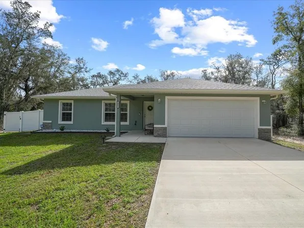 41 Fisher Way Run, Ocklawaha, FL 32179