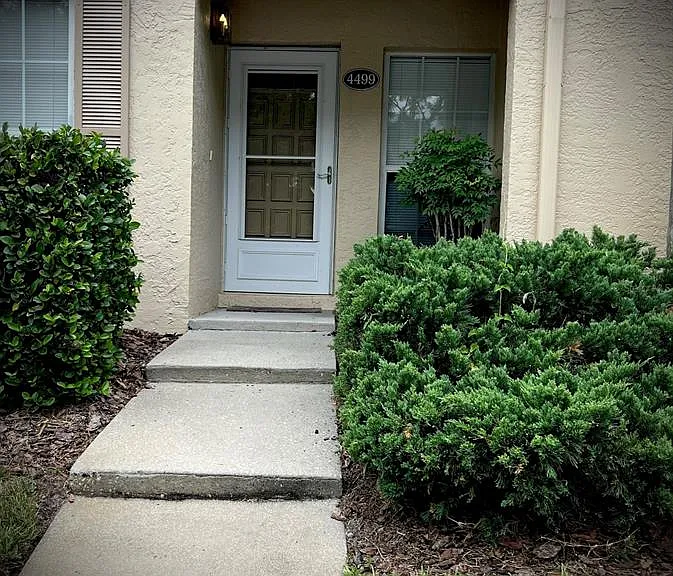Longmeadow — Photo 1