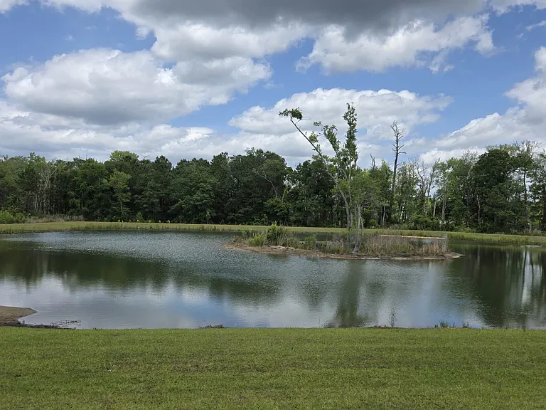177 Indigo Grove Dr — Photo 3