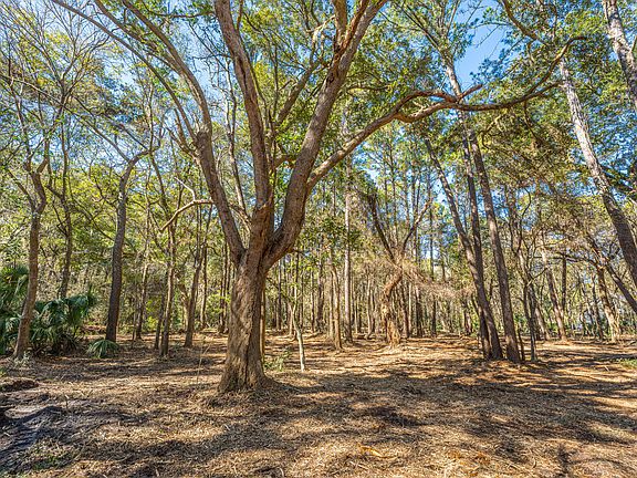 3rd image of 4066 Gnarled Oaks Ln