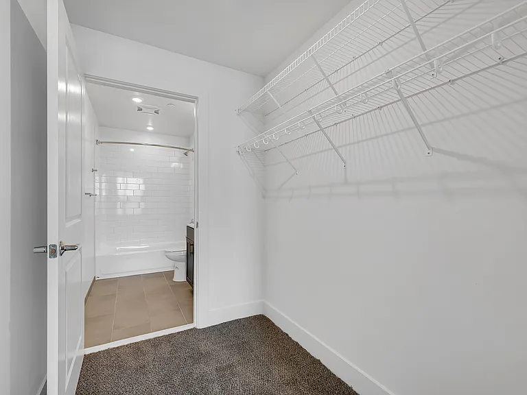 Beech Tree Place Apartments — Photo 8