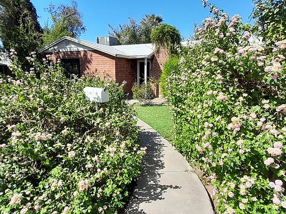 Street View - Flowers