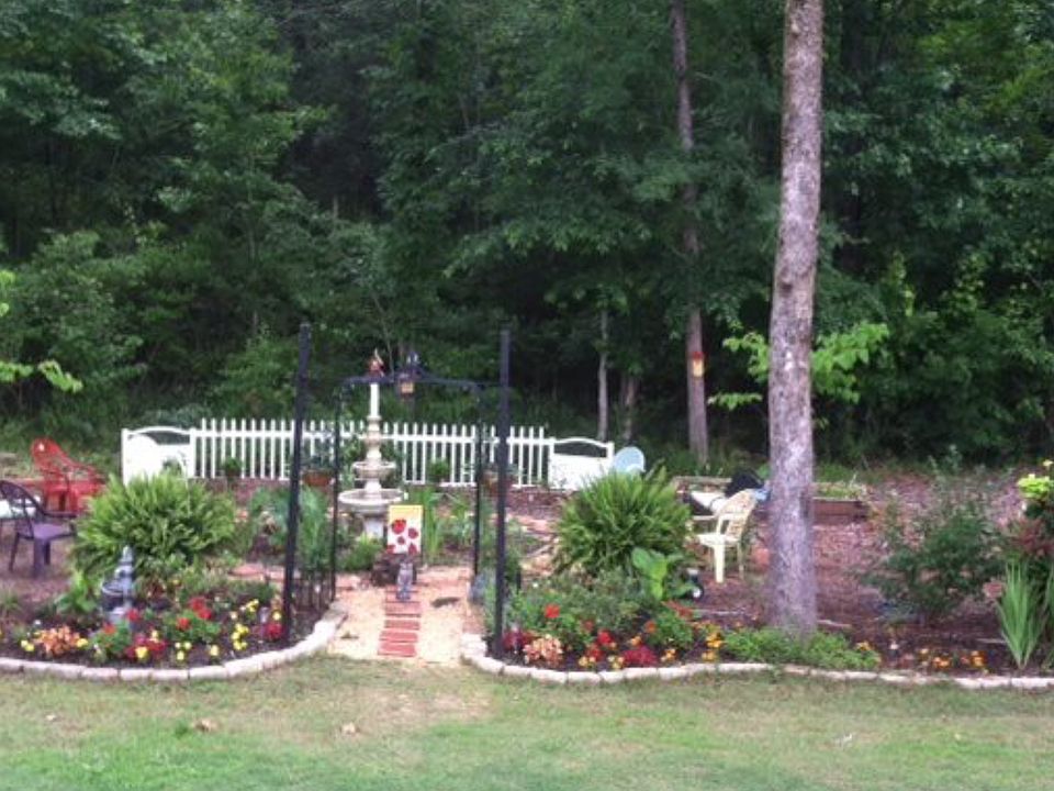 Back yard