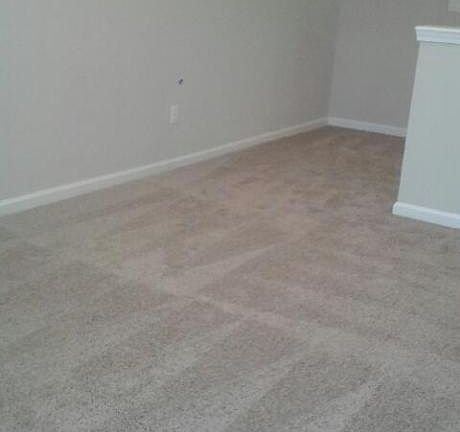 5th image of 79 Pindo Palm Dr