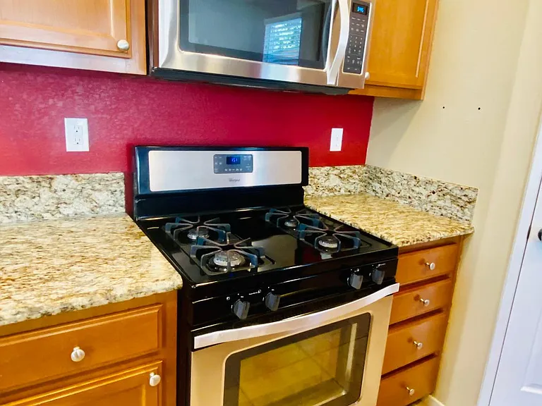 16872 Pecan Hollow Way — Photo 9