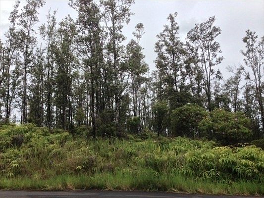 2nd image of Aulii St