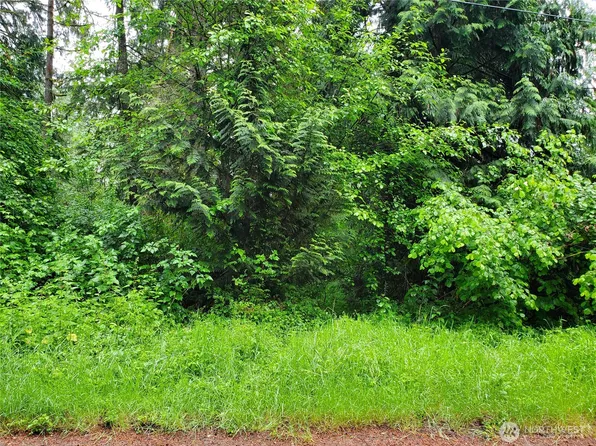 10607 Edgewood Drive lot4&5, Anderson Island, WA 98303