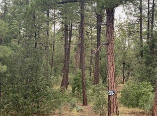 1420 W Sadler Ln, Lakeside, AZ 85929
