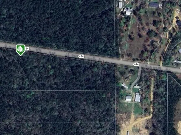 LOT 2 Highway 444, Springfield, LA 70462