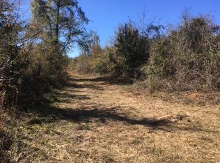 0 Bill Yance Rd, Headland, AL 36345