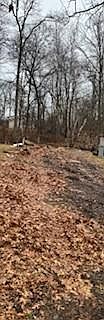 5th image of 30548 Barkwood Trl