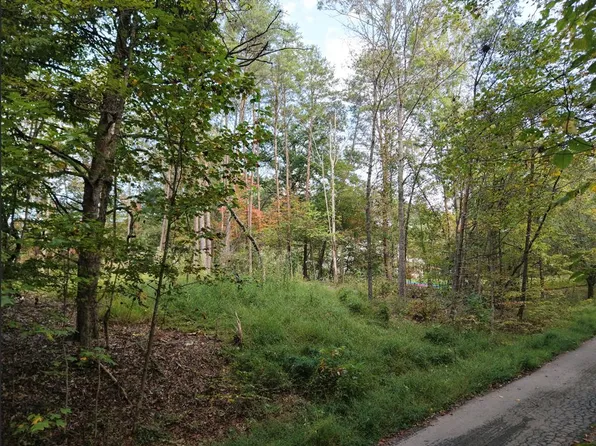 0 High Country Way, Blue Ridge, GA 30513