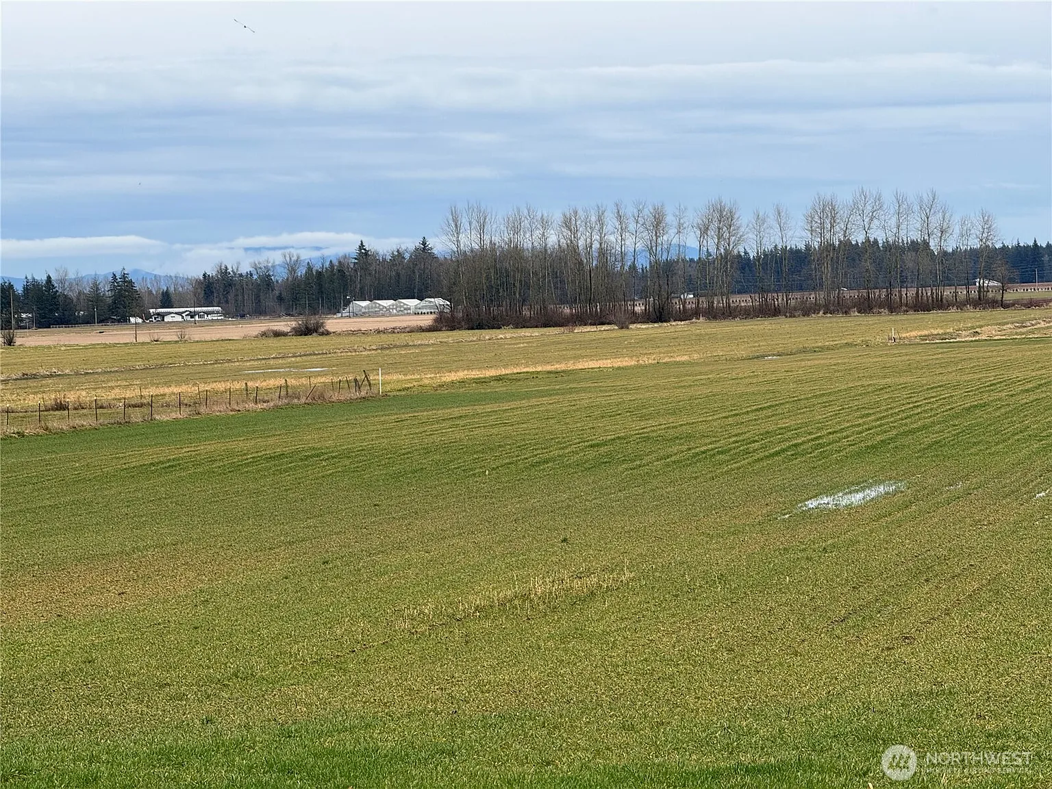 1429 W Badger photo 1
