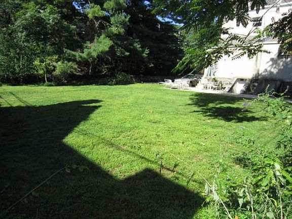 Shared Large Rear Yard