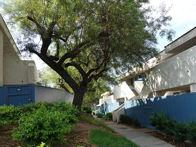 Vista Springs Apartments — Photo 32