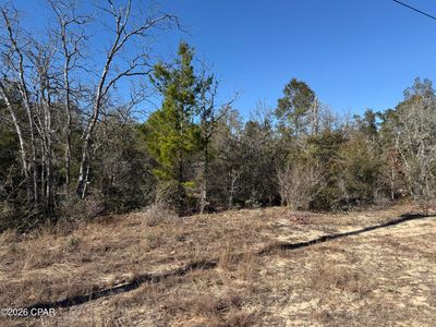 0 Birwood Ct, Chipley, FL, 32428