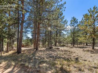 349 Rhyolite Ln, Florissant, CO 80816