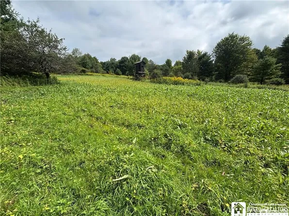 Vl 2 Swain Hill Rd Lot 34, Andover, NY 14806