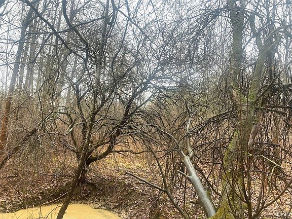 5th image of 10138 Schuknecht Rd