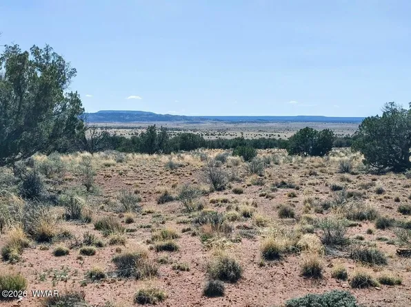 LOT 222 Woodridge Rnch Lot 222, Concho, AZ 85924