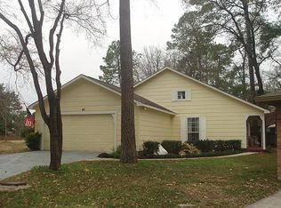 45 Night Hawk Pl, Spring, TX 77380