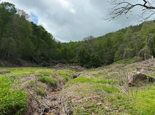 460 Bailey Branch Rd, Walker, KY 40997