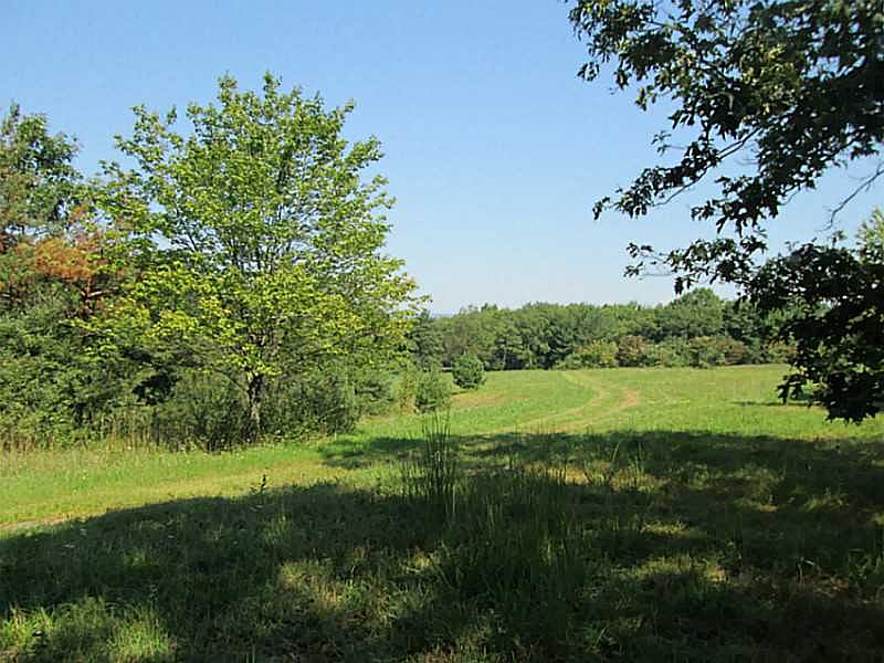 2nd image of Old Forbes Rd