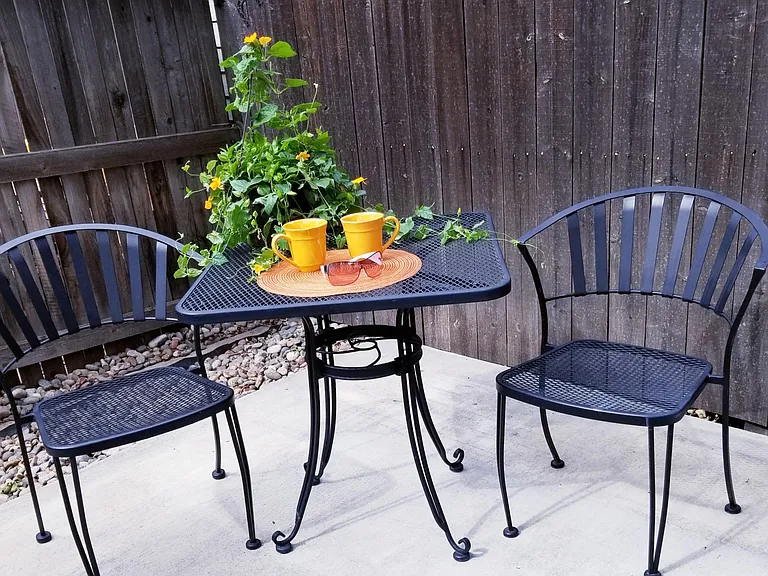 Private Back Yard Patio
Great for BBQ's, growing a Container