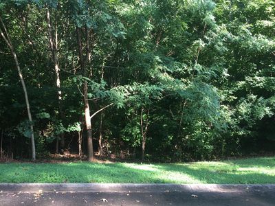 Forrest Ridge Dr, Louisville, TN, 37777