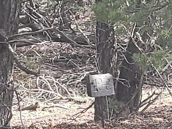 3rd image of 119 Eagles Nest Dr