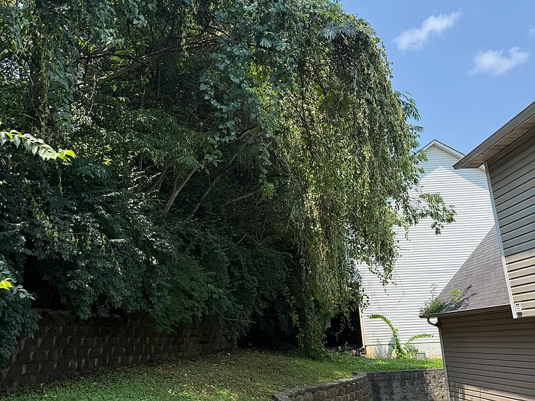 719 Colony Village Way — Photo 36