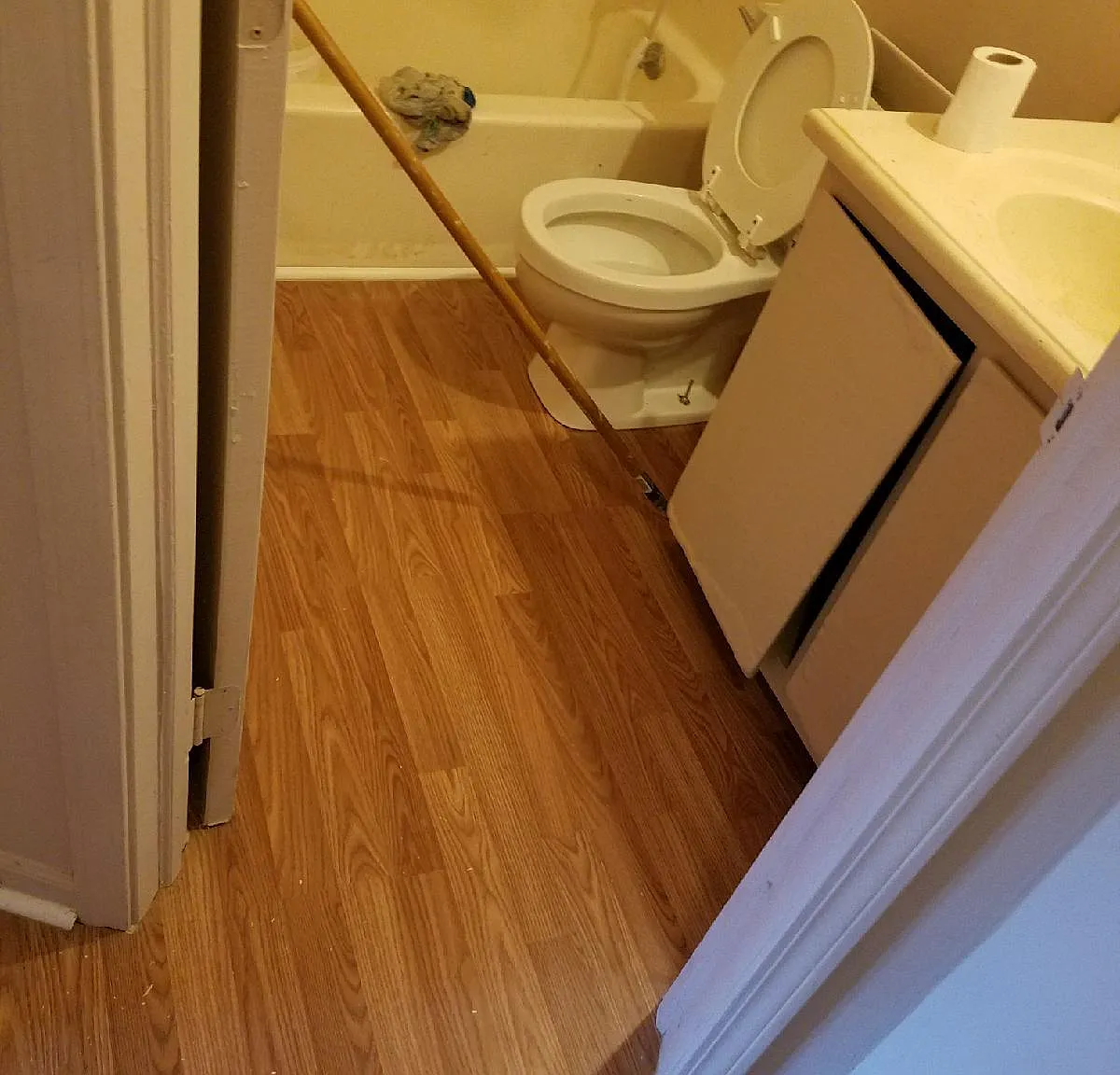 2 bed, 700 sqft, $1,400 — Photo 2