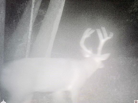 5th image of 0 Love Chapel Cemetery Rd